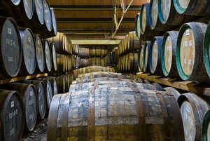 Whisky barrels maturing in a distillery in Scotland