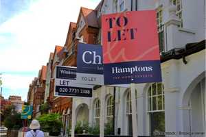 Estate agent "to let" signs in front of a row of terraced houses in London